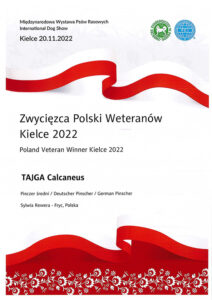 Zwycięzca Polski