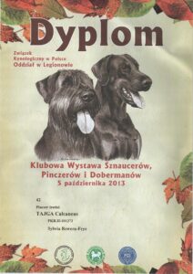 ZWYCIĘZCA KLUBU PINCZERA 2013 - Nowy Dwór Mazowiecki