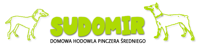 logo-sudomir-sandomierz