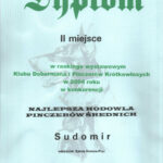 WYRÓŻNIENIE DLA HODOWLI SUDOMIR w Rankingu Klubu Dobermana i Pinczerów Krótkowłosych
