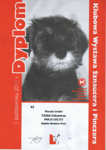 ZWYCIĘZCA KLUBU PINCZERA 2011 - Legionowo