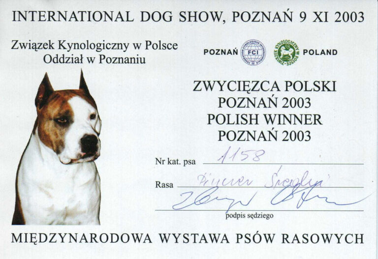 Zwycięzca Polski